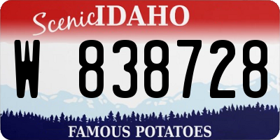 ID license plate W838728