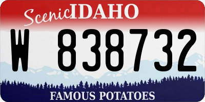 ID license plate W838732