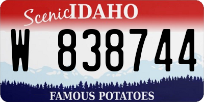 ID license plate W838744