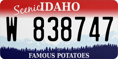 ID license plate W838747