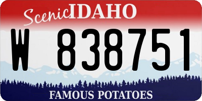 ID license plate W838751