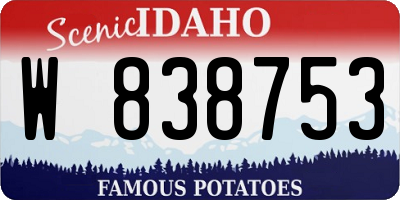 ID license plate W838753