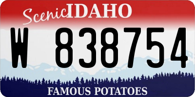 ID license plate W838754
