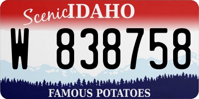 ID license plate W838758