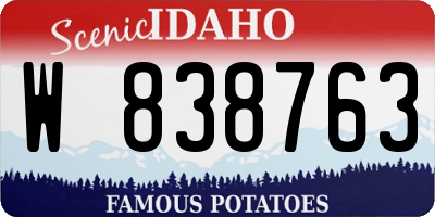 ID license plate W838763