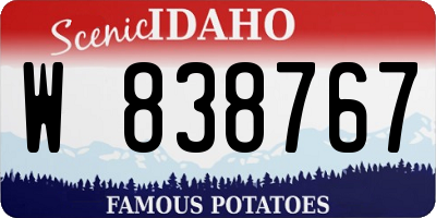 ID license plate W838767