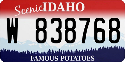 ID license plate W838768