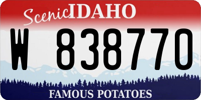 ID license plate W838770