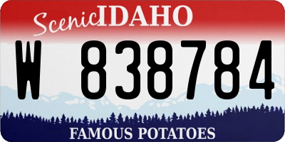 ID license plate W838784