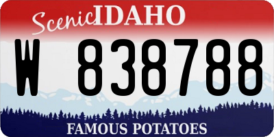 ID license plate W838788