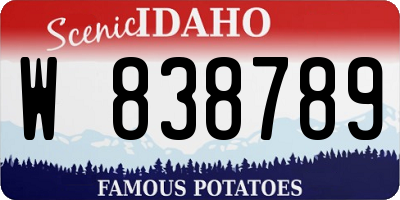 ID license plate W838789