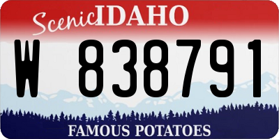 ID license plate W838791