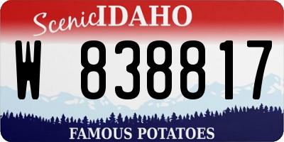 ID license plate W838817