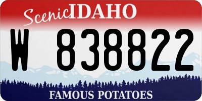 ID license plate W838822