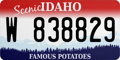 ID license plate W838829