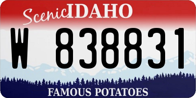 ID license plate W838831