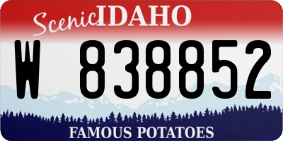 ID license plate W838852