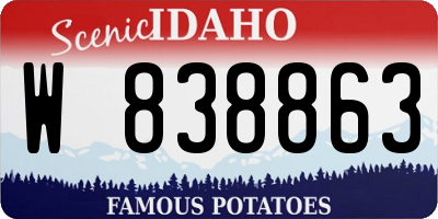 ID license plate W838863