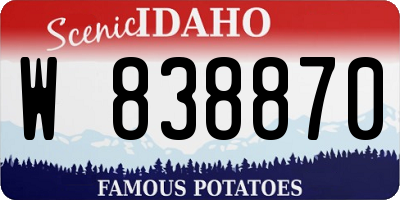 ID license plate W838870