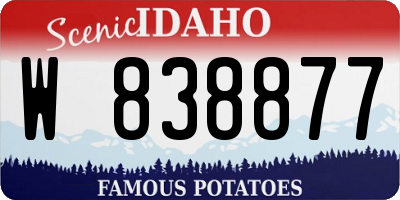 ID license plate W838877