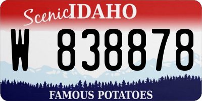 ID license plate W838878