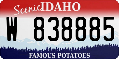 ID license plate W838885