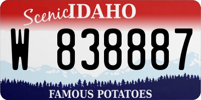 ID license plate W838887