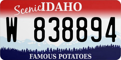 ID license plate W838894