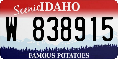 ID license plate W838915