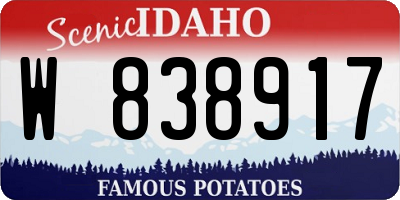 ID license plate W838917