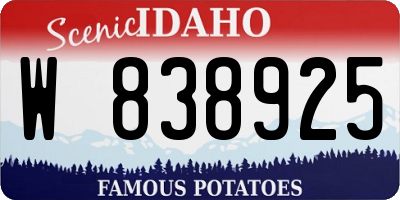 ID license plate W838925