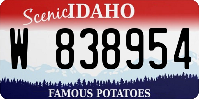 ID license plate W838954
