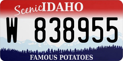 ID license plate W838955