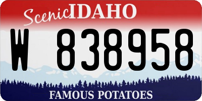 ID license plate W838958