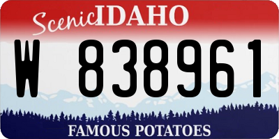 ID license plate W838961
