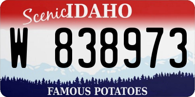 ID license plate W838973