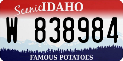 ID license plate W838984
