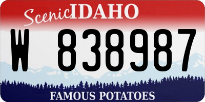 ID license plate W838987