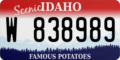 ID license plate W838989