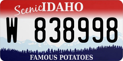 ID license plate W838998