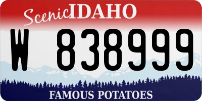 ID license plate W838999