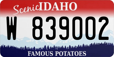 ID license plate W839002