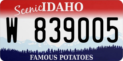 ID license plate W839005