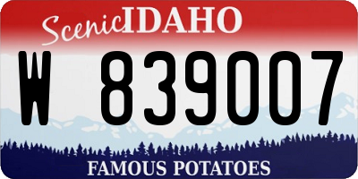 ID license plate W839007