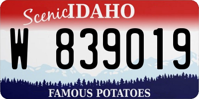 ID license plate W839019