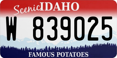 ID license plate W839025
