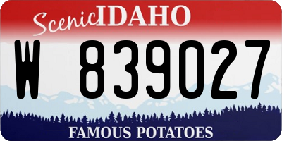 ID license plate W839027