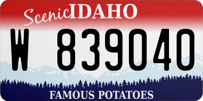 ID license plate W839040