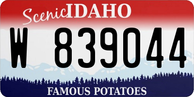 ID license plate W839044