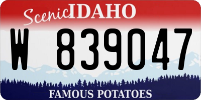 ID license plate W839047